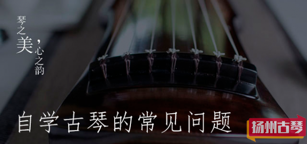 真要学好古琴，尽量不要上来就自学！