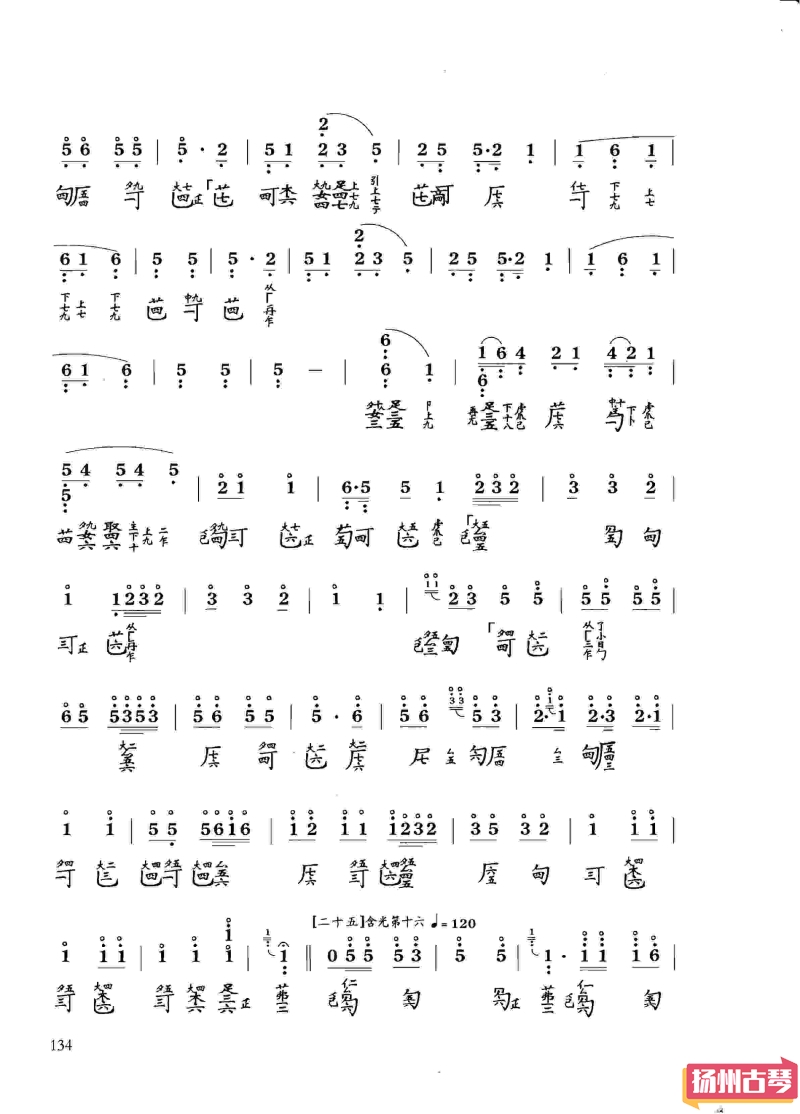 16.jpg